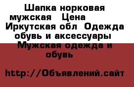 Шапка норковая мужская › Цена ­ 2 500 - Иркутская обл. Одежда, обувь и аксессуары » Мужская одежда и обувь   